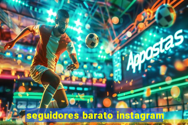 seguidores barato instagram